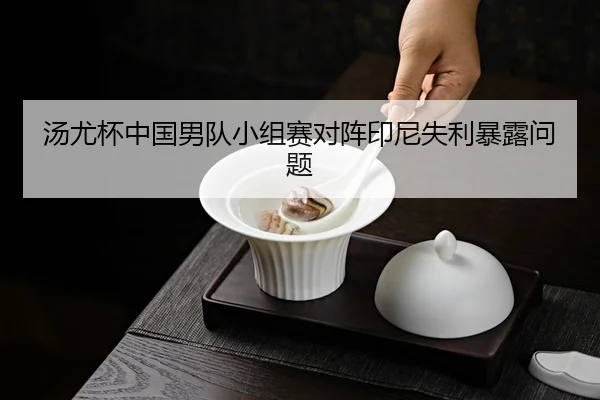 汤尤杯中国男队小组赛对阵印尼失利暴露问题
