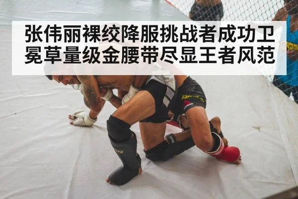 MMA fighter grappling